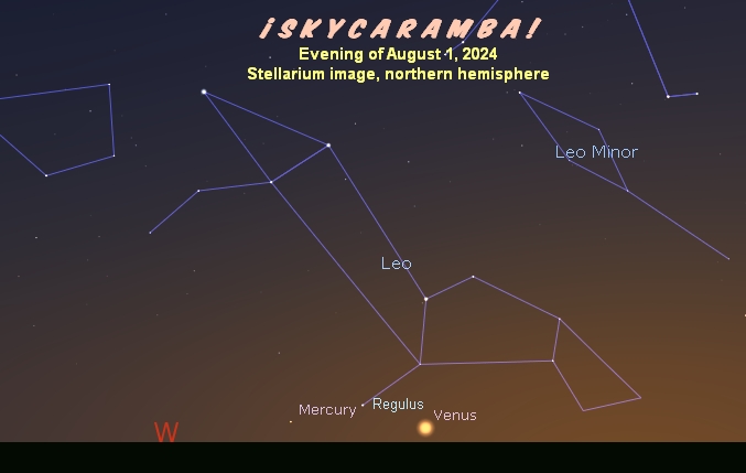 Northern hemisphere view of Mercury and Venus near Regulus, evening of August 1, 2024