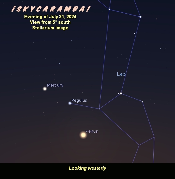 Mercury and Venus near Regulus, the evening of July 31, 2024, viewed from 5° south